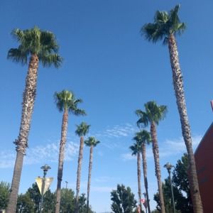 Meet your Posher, Luisa